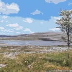 Peter Lynch - Facebook
