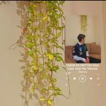 Peter Maatouk - @peter.maatouk - Instagram