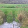 petermaassen681 - @petermaassen681 - TikTok