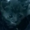 Peter Mac - @peter.mac1 - TikTok