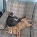 Peter Maceachern - Facebook