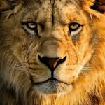 Peter Machado Machado - @peter_mack3 - Instagram