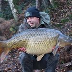 Peter Machiels - @machielspeter - Instagram