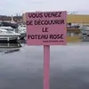 Peter Machin859 - @petermachin5 - TikTok