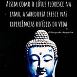 Peter Maciel Haberlehner - @petermacielhaberlehner - Instagram