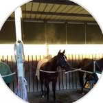 Peter Mackay - @scot.tf78 - Instagram