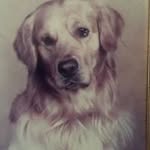 Peter Mackay - @peter_x141 - Instagram