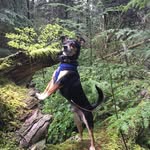 Peter MacKay - @pete_mackay - Instagram