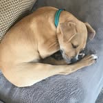 Peter MacPherson - @macpherson4400 - Instagram