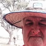 Peter Macpherson - @peter.macpherson - Instagram