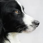 Peter Macrae - @peter.macrae.3 - Instagram