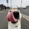 peter.magaro - @peter.magar0 - TikTok