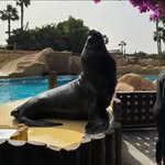 Peter Magnusson - @peterkmagnusson - Instagram