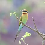 Peter November - @peter.11.malaysia - Instagram