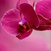 petermalcolm780 - @petermalcolm780 - TikTok