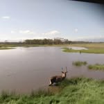Peter Maliatso - @petermaliatso - Instagram