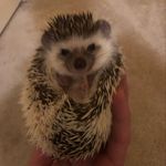 Pete Mandeville - @pete_mandeville - Instagram