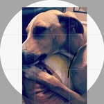 @peter_mangone - Instagram