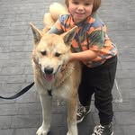 Peter Mannion - @mannion_peter - Instagram