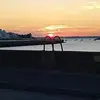 petermaple - @petermaple - TikTok