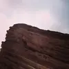 petermaples - @petermaples - TikTok