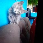 Marciano Peterm - @marciano.peter.5 - Instagram