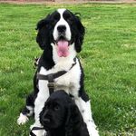 Peter Maroney - @petermaroney - Instagram