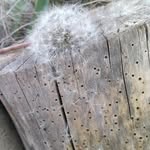 Napsugár - @peter_marta_napsugar_2005 - Instagram