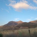 Peter Martinez - Facebook