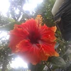 Peter Martinez - Facebook