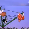 petermartine - @petermartinez45481487 - TikTok