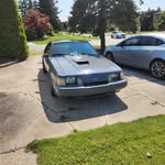Peter Matheson - @peter.matheson.773 - Instagram