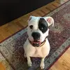 Peter Matos - @petermatos1 - TikTok