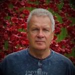 petermaule - @petermaule - Instagram