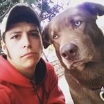 Peter Maurice - @sk8_or_die1995 - Instagram