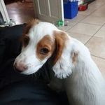 Peter McAlister - @mcalisp123 - Instagram