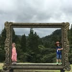 Peter McAuley - @peter.mcauley - Instagram
