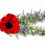 Peter John McAuliffe - Facebook