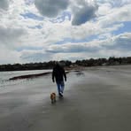 Peter McAuliffe - Facebook