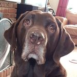 Peter McCall - @peter_mcc4ll - Instagram