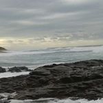 Peter McCallum - @peter.mccallum.146 - Instagram