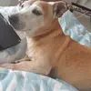 Peter Mccallum - @peter.mccallum2 - TikTok