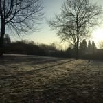 Peter McCarter - @petermccarter - Instagram