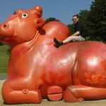 Peter Mccusker - @petermccusker1082 - Instagram