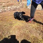 Peter McCusker - @peter.mccusker.5 - Instagram
