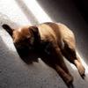 Peter McElroy895 - @waveyourarms - TikTok