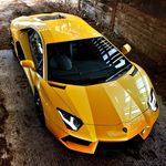 peter mcelroy - @mcelroy.peter - Instagram