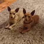 Peter Mc Eneaney - @mceneaneypeter - Instagram