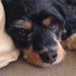 @peter.mcewen48 - Instagram