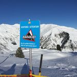 Peter McEwen - @peter_mcewen1234 - Instagram